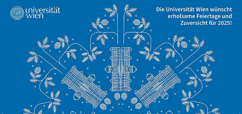 Hauptgebäude Universität Wien mit Weihnachtsstern in blai